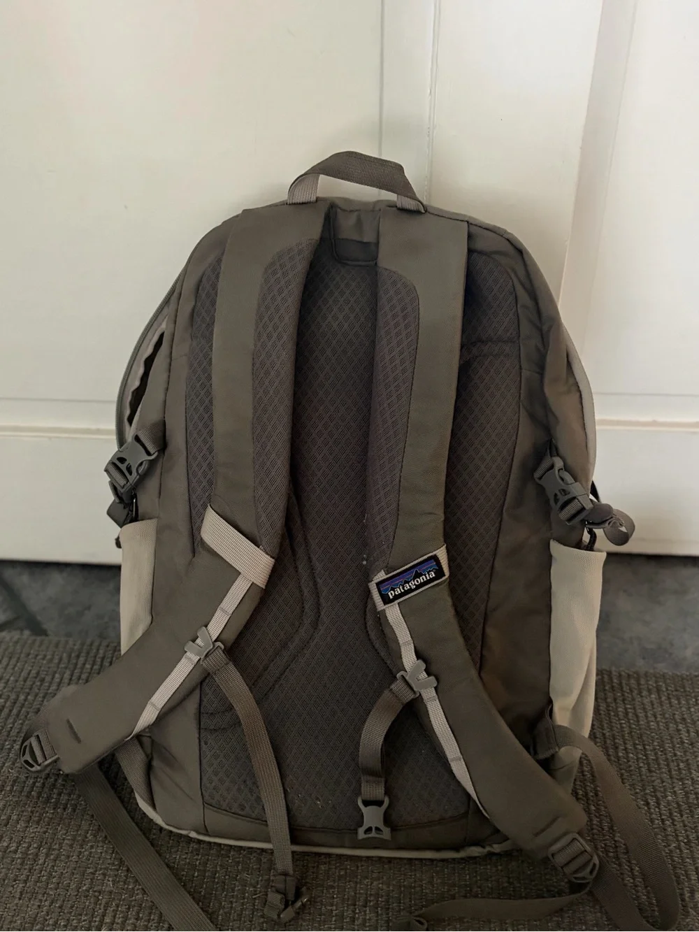Patagonia Backpack 30L